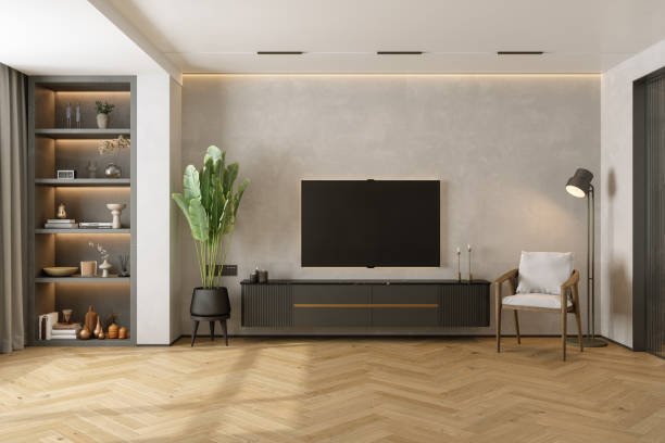 living room interior with lcd tv set, potted plant, armchair and decorations